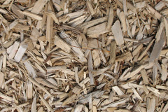 biomass boilers Haygrass